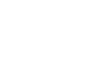 Startovní číslo 48 typ 7