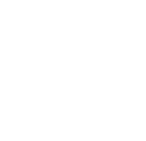 Startovní číslo 50 typ 2    