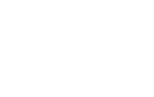 Startovní číslo 50 typ 5