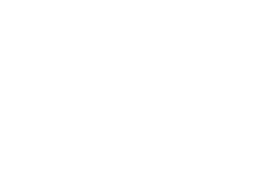 Startovní číslo 50 typ 7