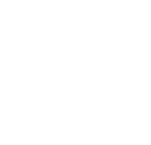 Startovní číslo 55 typ 2  