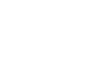 Startovní číslo 55 typ 3