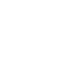 Startovní číslo 56 typ 2  