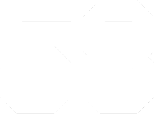 Startovní číslo 58
