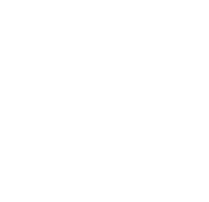 Startovní číslo 60 typ 2    