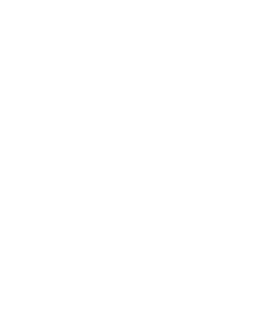 Startovní číslo 61 typ 2