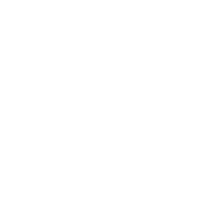 Startovní číslo 66 typ 2    