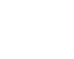 Startovní číslo 77 typ 3  