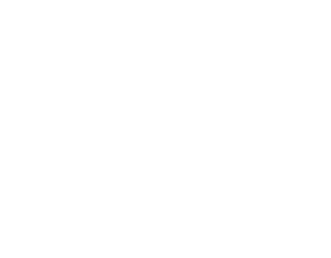Startovní číslo 79