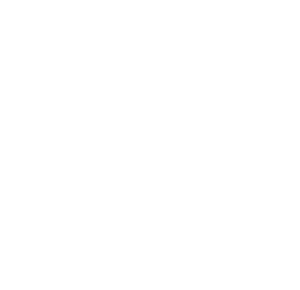 Startovní číslo 80 typ 2          