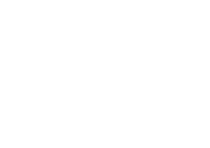 Startovní číslo 80 typ 3  