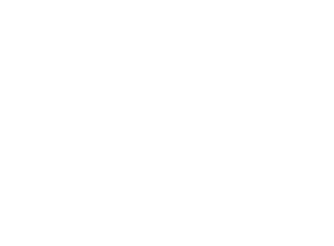 Startovní číslo 83 typ 3  