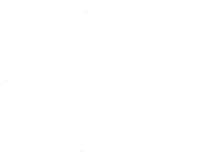 Startovní číslo 84