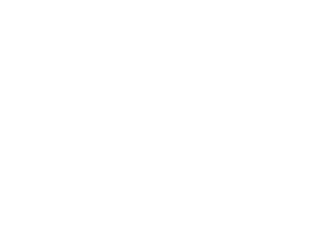 Startovní číslo 84 typ 3 