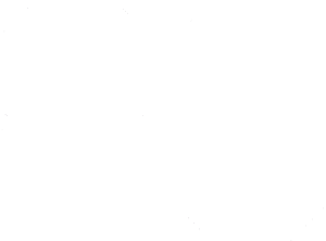 Startovní číslo 86