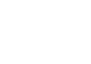 Startovní číslo 87 typ 3  