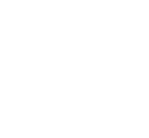 Startovní číslo 91 typ 3 