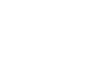 Startovní číslo 94 typ 3   