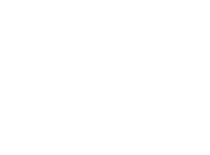 Startovní číslo 96