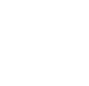 Startovní číslo 97 typ 2