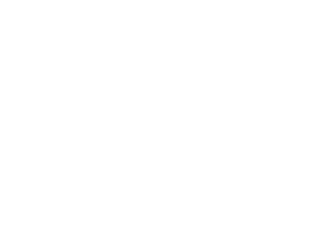 Startovní číslo 98 typ 3  