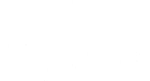 Stegosaurus 001 levá