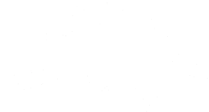 Stegosaurus 001 pravá