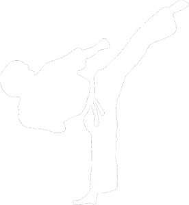Taekwondo 001 pravá