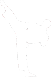 Taekwondo 002 levá