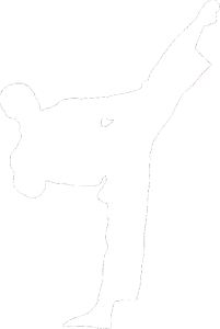 Taekwondo 002 pravá
