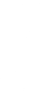 Tanec 006 levá tanečnice flamenca