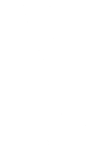 Tanec 006 pravá tanečnice flamenca