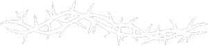 Tetování 185 trny