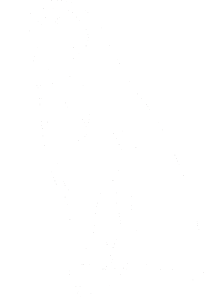 Tučňák 001 levá