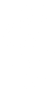 Tygr 001 levá