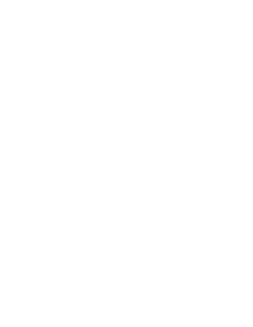 Tygr 008 levá