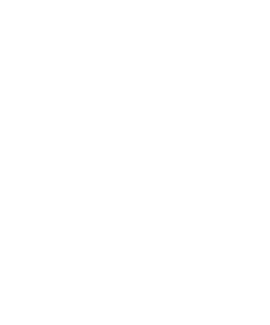 Tyrannosaurus Rex 004 levá