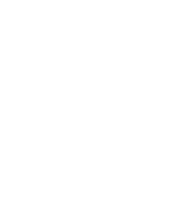 Tyrannosaurus Rex 004 pravá
