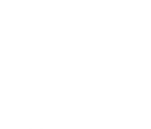 Tyrannosaurus Rex lebka 001 levá