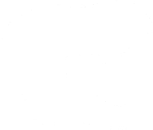 Tyrannosaurus Rex lebka 001 pravá