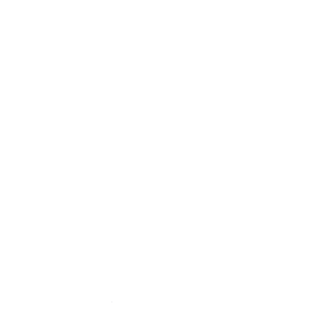 Včela 001 pravá