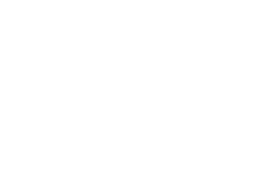 Včela 002
