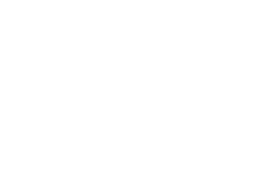 Včela 004 královna