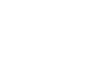 Včela 005 levá královna