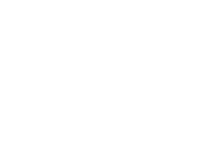 Včela 005 pravá královna