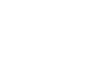 Velryba 002 pravá