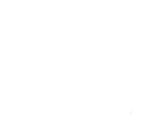 Veselé vosy fly united levá