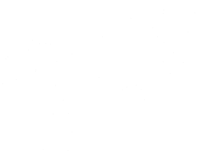 Vlk 002 pravá
