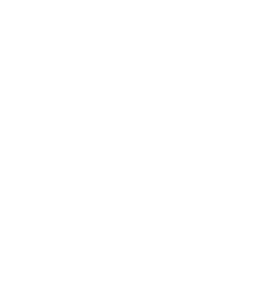 Vozíčkář 001 invalida