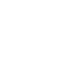 Wino - saur 001 pravá vínečko